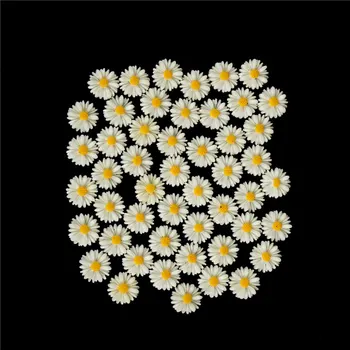 50 darab 13mm DIY fehér százszorszép virággyanta lapos hátú kabochon ékszer telefon dekoráció nincs lyuk lakberendezés