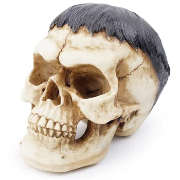 Emberi fej koponya szobor lakberendezéshez Gyanta figurák Halloween dekoráció Szobor Orvosi tanítás Vázlat Modell kézművesség