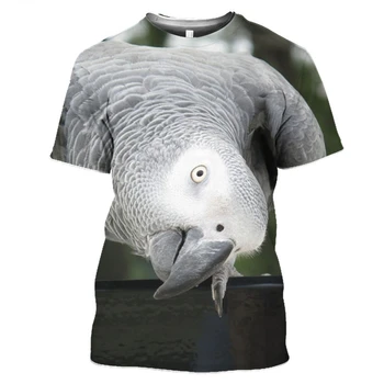 Férfi papagáj és szürke madár 3D nyomtatás Póló, kerek nyakú hip-hop utcai ruházat, túlméretezett fitnesz felső, légáteresztő és comfor