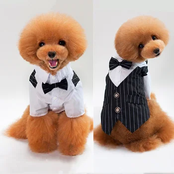 Kisállat kutya macska ruhák Tuxedo herceg csokornyakkendő öltöny Chihuahua kabát Jóképű háziállatok kutya öltöny esküvői ruha jumpsuit kabát S-XXL