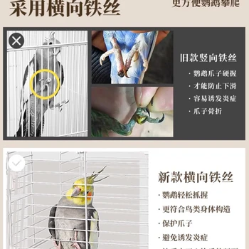 Madárketrec Papagáj ketrec Háztartás Nagy Xuanfeng tigrisbőr Fehér szem gyöngy különleges madárház